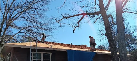 Born Again Home Repairs Inc in Jackson
