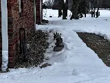 Greenix Pest Control photo 4