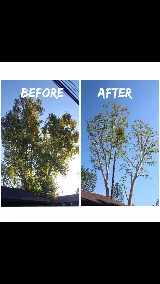 Greatland Landscape, Inc. photo 6