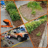 Islanders Outdoor - Lawn Care Nanaimo photo 2