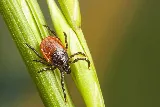 EcoTek Pest Control photo 7