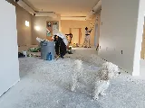 American Painters photo 8