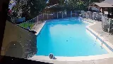 Oscars Pool Service photo 5
