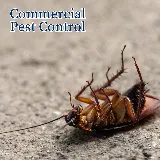 Jeffcoat Pest & Home photo 2