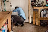 Insight Pest Solutions photo 6