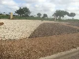 Laredo Lawn, Inc. photo 5