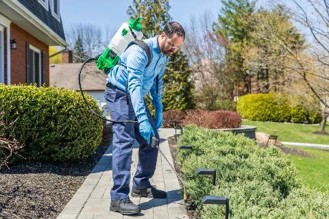 OPC Pest Services photo 1