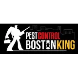 Pest Control Boston King photo 6