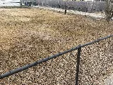 Forrest’s Lawn And Landscaping photo 8