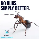 Total Pest Control Fresno photo 8