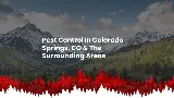 High Country Pest Control