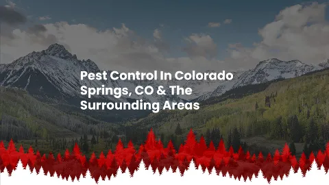 High Country Pest Control in Colorado Springs