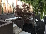 Landscapers of Knoxville photo 8