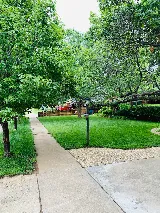Lush Lawn and Landscaping photo 5