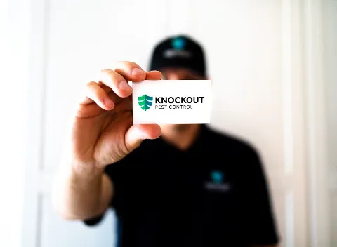 Knockout Pest Control in Burnaby