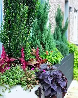 Potted Perfection, LLC. photo 2