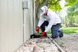 Natura Pest Control