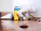 Active Pest Control Richmond photo 5