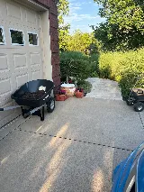 Moxie Pest Control photo 4