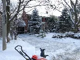 Gardenzilla Lawn & Garden photo 4
