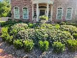 Advanced Landscape, LLC. photo 3