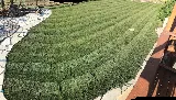 Blue Ribbon Lawn & Landscape, LLC photo 8