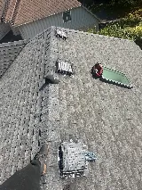 Pestro Pest Control photo 2