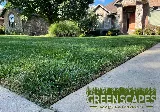 Greenscapes Lawn and Landscape LLC