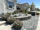 Picture Perfect Lawn photo 4