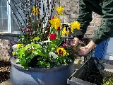 LawnCare by Walter, Inc. photo 3