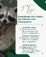 Diamo Pest & Wildlife Control photo 3