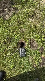 Pestlink Pest Control Edmonton Inc photo 7