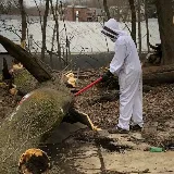 Antix Pest & Termite Control photo 6