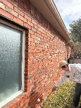 All-Safe Pest & Termite photo 2