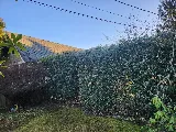 Fairytale Landscaping and Drainage photo 3