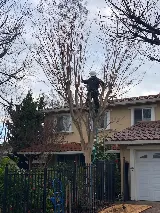 Legacy Lawn Care & Landscaping photo 5