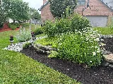 Rueve Landscape Company photo 5