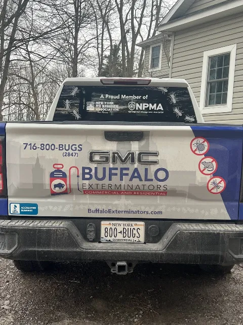 Buffalo Exterminators in Buffalo