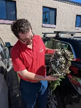 Lady Bugs All Pest Solutions photo 7