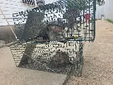 Superior Pest Control, LLC photo 5