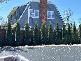 Riddle landscaping photo 8