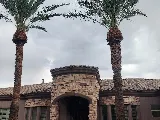 Julio Tree Care & Landscaping photo 7