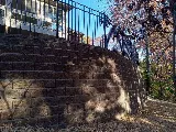 All In One Landscaping & Hardscaping photo 7