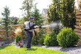 Saela Pest Control photo 6