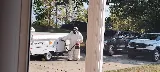 Alford Pest Control photo 3
