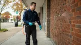 AR Pest Control Mississauga photo 5