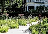 Greenwise Organic Lawn Care photo 5