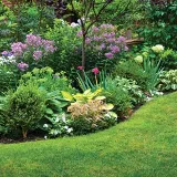 Tilleraas Landscape Nursery photo 4