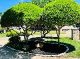 Lawler Lawn Care LLC photo 6
