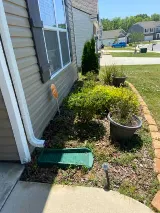 Bulwark Exterminating photo 2